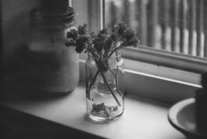 Still life - Bromwich Photography