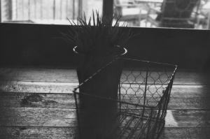 Still life - Bromwich Photography
