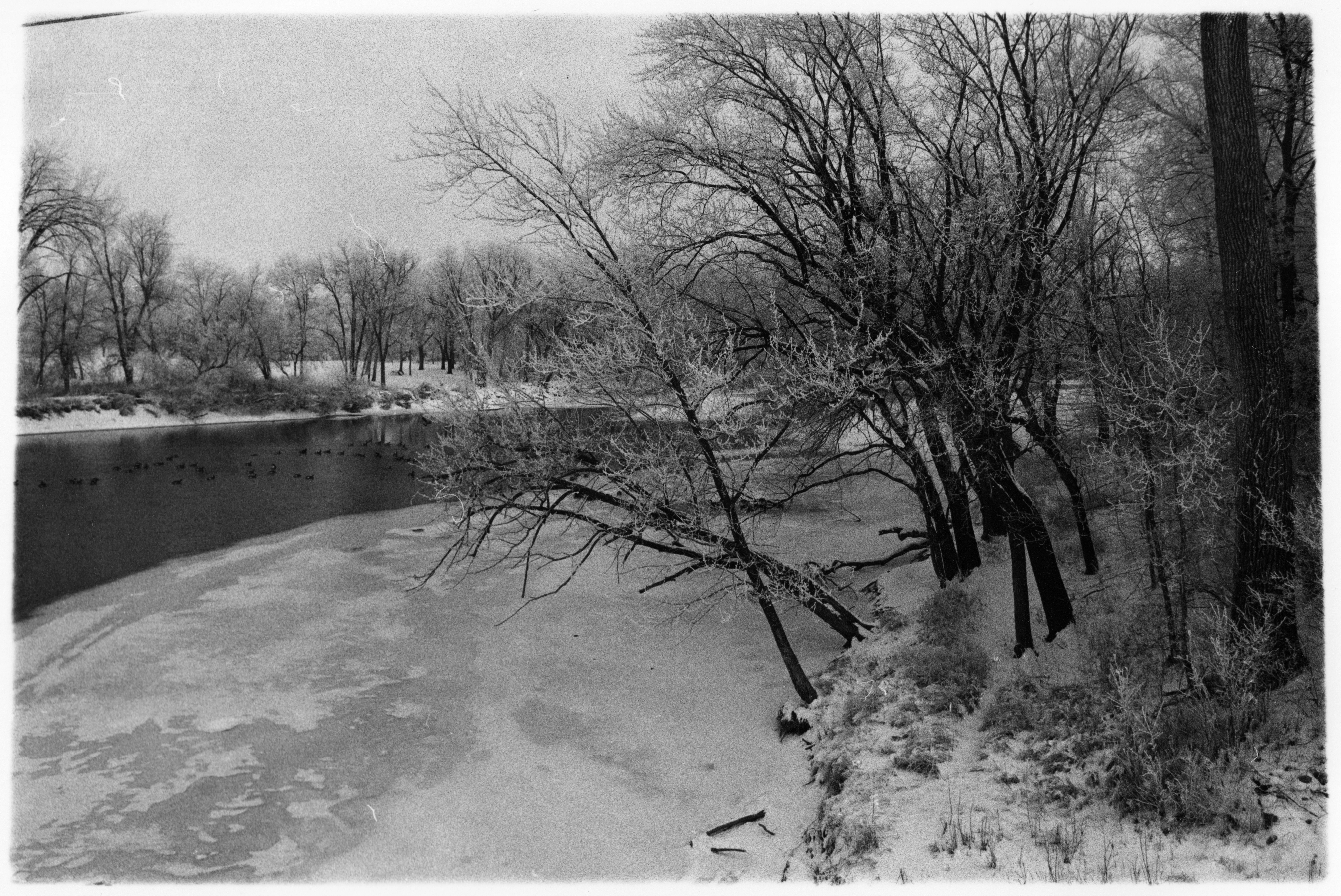 Frozen Lake In Iowa