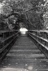 Board Walk to the Beach - Key West, Florida